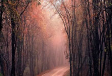 每体报道广州队解散：这是由一个不可持续的模式造成的.