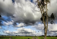 开云体育官网：[德甲]博尼费斯独中两元 勒沃库森客场获胜.